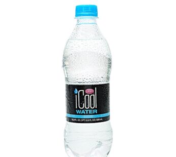 Lasco iCool Water 500ML