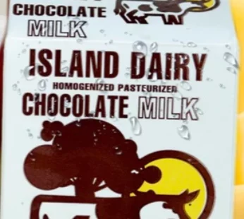 Island Dairy Chocolate Milk 450ml