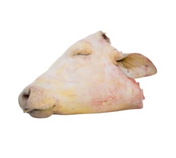 Cow Head (Local)