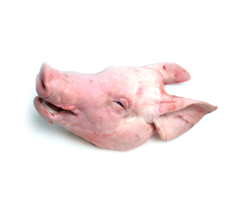 Deboned Pig Head