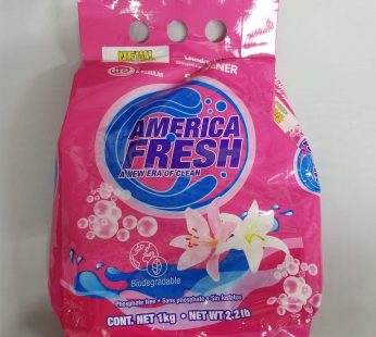 America Fresh Laundry Powder Detergent 1kg