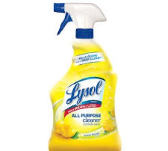 Lysol All Purpose Cleaner With Ldspray 32oz