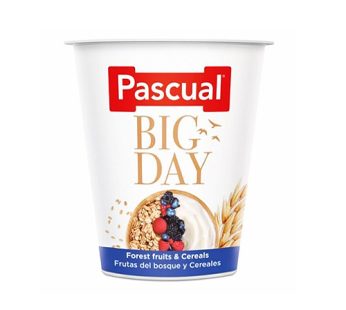 Pascual Big Day Forest Fruits 125g