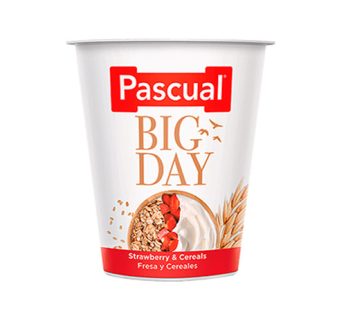 Pascual Big Day Strawberry Yogurt 125g