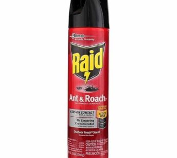 Raid Ant & Roach Outdoor Fresh 12oz